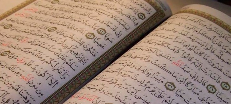 Перевод с редких языков