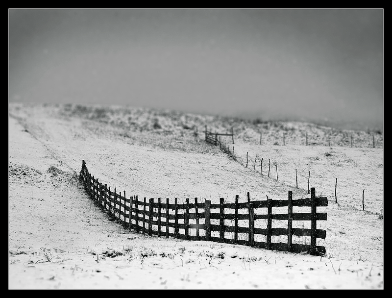 Фото пейзаж