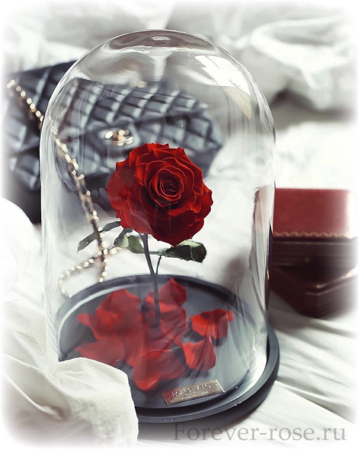 Стабилизированные розы в колбе
